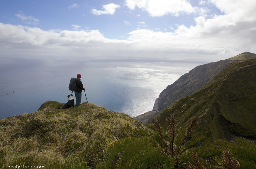 Man on Tristan landscape
